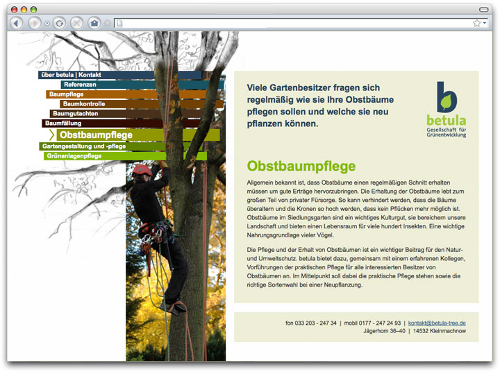 Screenshot Webseite BETULA